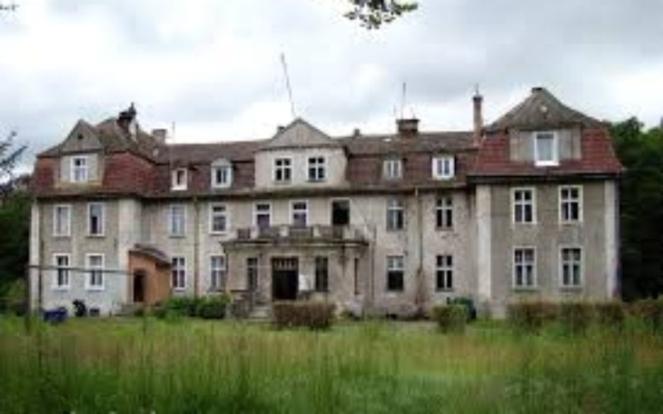 Zbiórka Pomoc w remoncie starego pałacu - zdjęcie główne