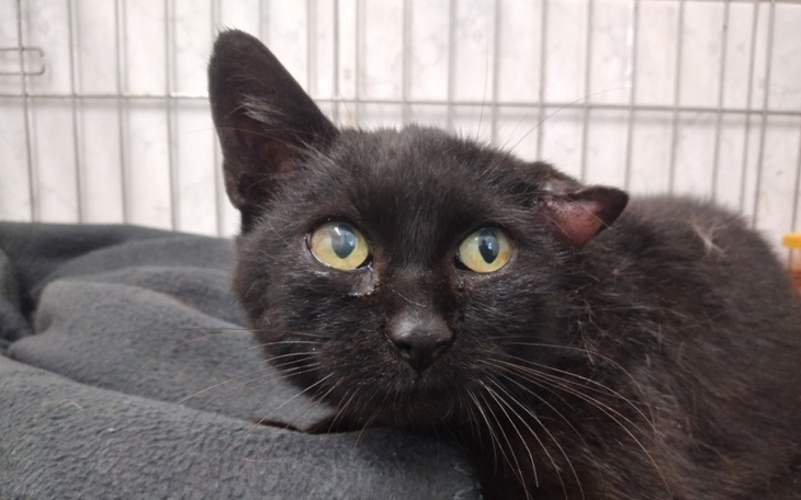 Zbiórka Ratujemy Danusię - zdjęcie główne