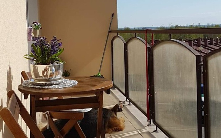 Zbiórka Wynajem mieszkania ;((( - zdjęcie główne