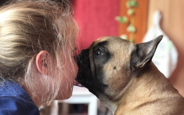 Zbiórka Pomoc dla naszego psiaka Luisa - zdjęcie główne