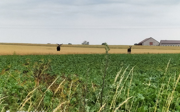 Zbiórka Na rower dla dziecka z Ukrainy - zdjęcie główne