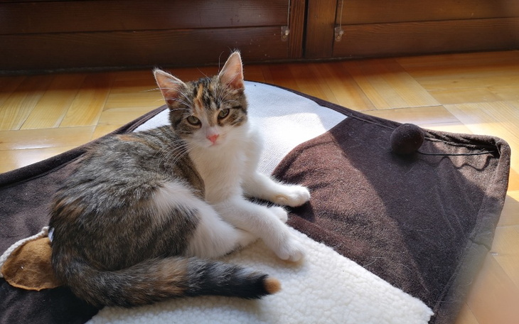 Zbiórka Pomóż wyzdrowieć temu maluchowi - zdjęcie główne