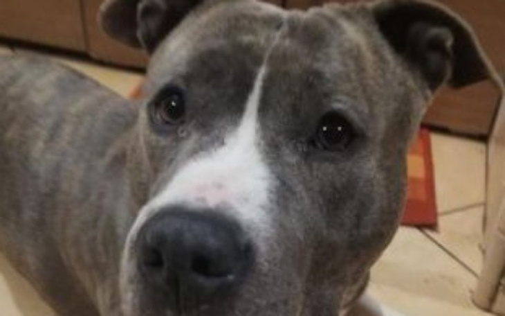 Zbiórka MisiaMisiaaa - zdjęcie główne