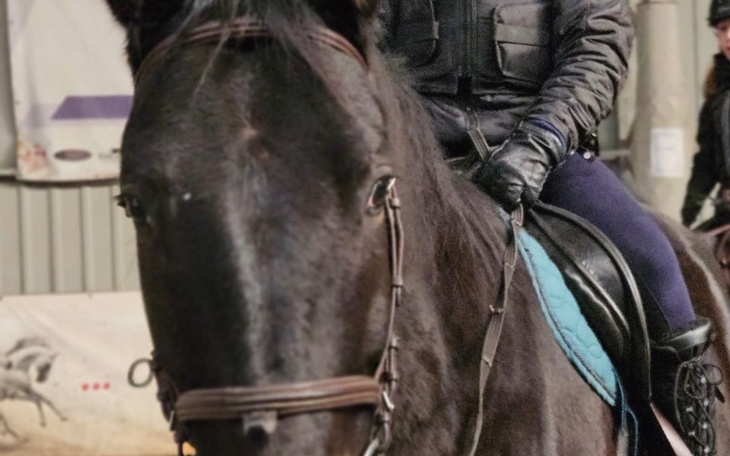 Jeździec na czarnym koniu w stajni, skupiony na jeździe.