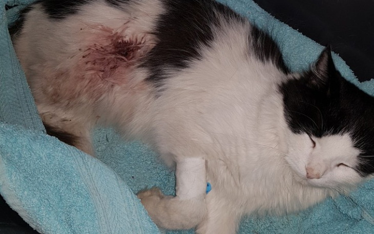 Zbiórka !!!Błagam o pomoc!!! - zdjęcie główne