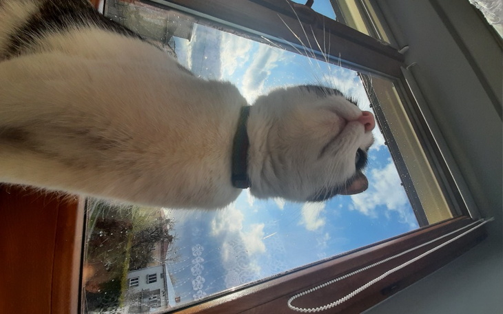 Zbiórka na kota oczywiscie - zdjęcie główne