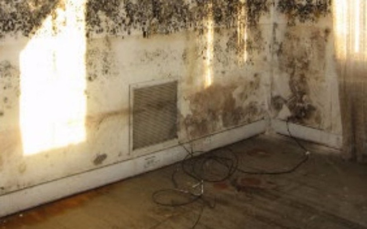 Zbiórka Mieszkanie dla dziecka .. - zdjęcie główne