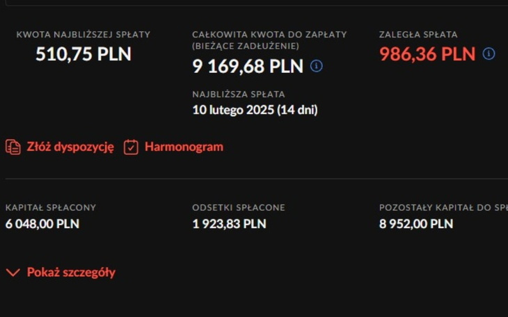 Zrzut ekranu z systemu płatności, pokazujący saldo.