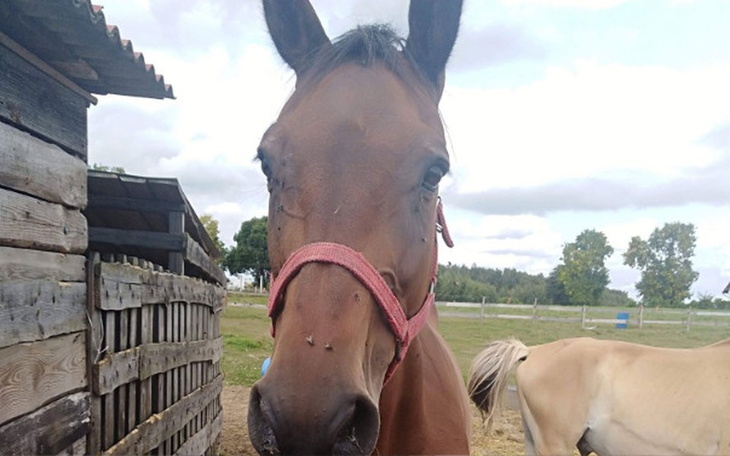 Zbiórka Oszukać przeznaczenie.. - zdjęcie główne