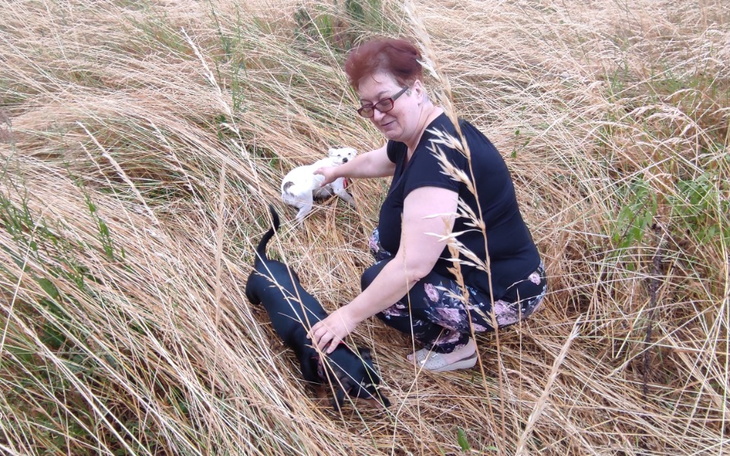 Zbiórka Oaza dla osób cierpiących na dep - zdjęcie główne