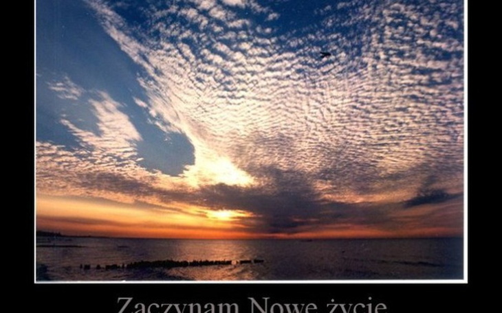 Zbiórka Zacząć jeszcze raz - zdjęcie główne