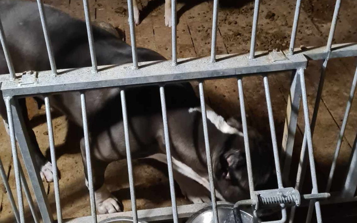 Zbiórka interwencja - zdjęcie główne