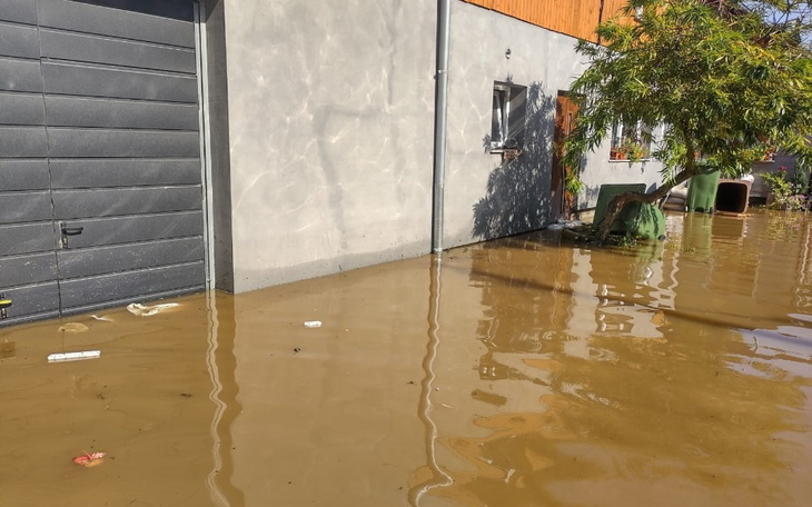 Zbiórka Wsparcie dla Eli po powodzi - zdjęcie główne