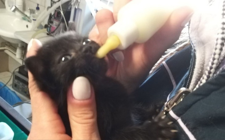 Zbiórka To życie nic nie znaczy - zdjęcie główne