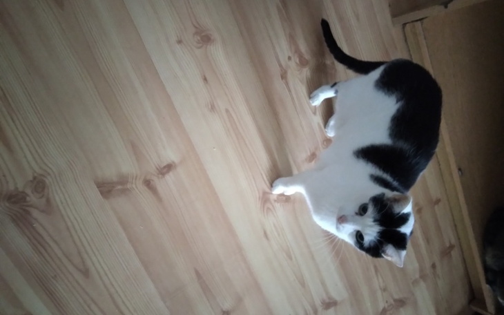 Zbiórka Ratujemy Kacperka - zdjęcie główne