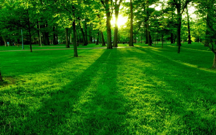 Zbiórka Zbieram na działkę pod budowę do - zdjęcie główne