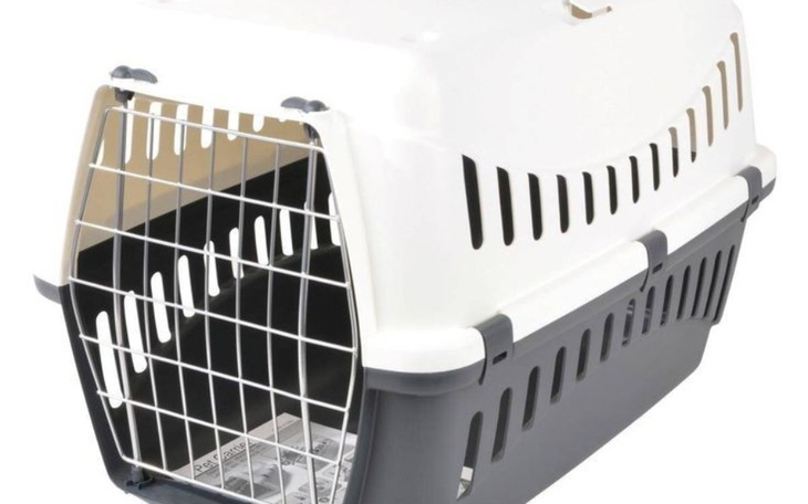 Zbiórka Na transporter dla kociaka - zdjęcie główne