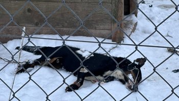 Zbiórka Umierały przy -20 stopniach. - miniaturka zdjęcia