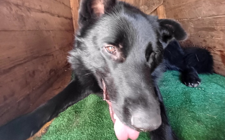 Zbiórka POMÓŻMY Aronowi WIDZIEĆ - zdjęcie główne