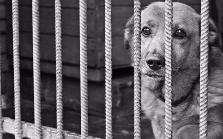 Zbiórka Godne Życie za Kratami - zdjęcie główne