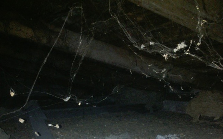 Zbiórka Zbiórka na remont domu mamy - zdjęcie główne