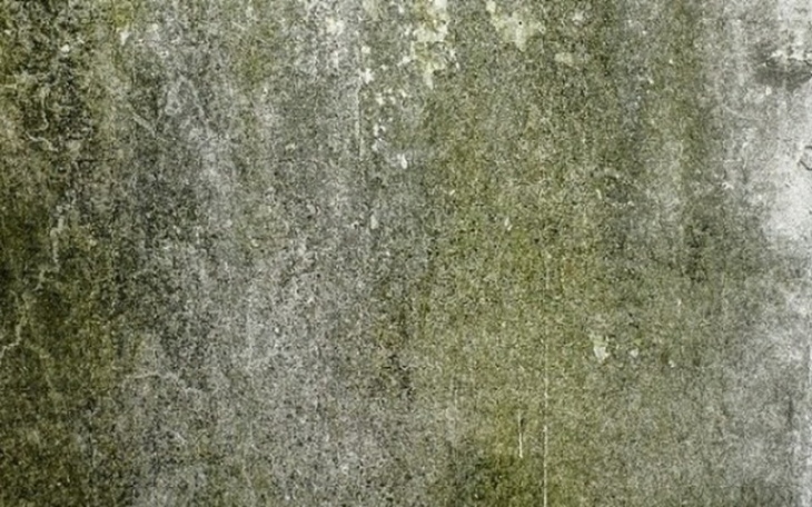 Zbiórka Remont dachu, naprawa wentylacji - zdjęcie główne