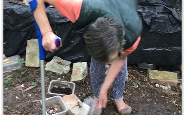 Zbiórka Bezdomniaki pani Barbary - zdjęcie główne