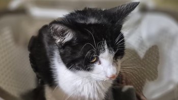 Zbiórka Obiecuję Ci - miniaturka zdjęcia