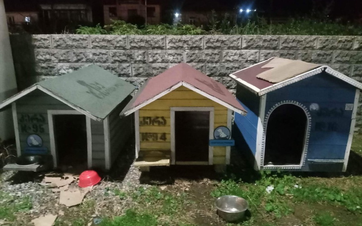 Zbiórka Doghouse in Georgia - zdjęcie główne