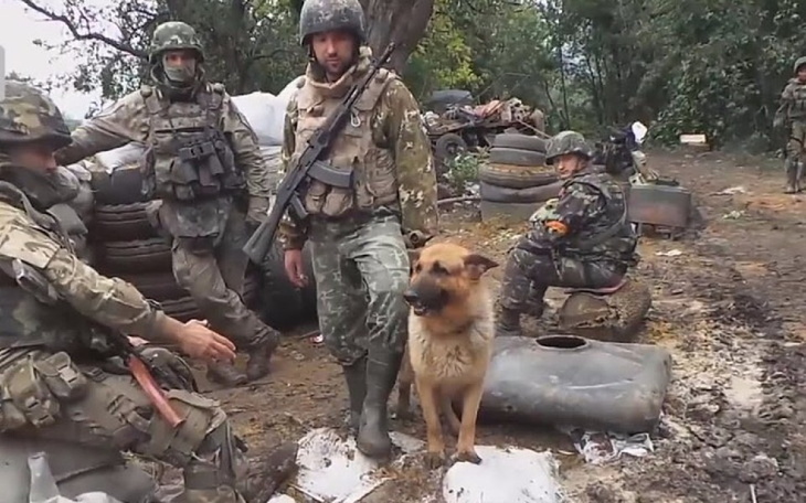 Zbiórka Pomoc humanitarna wojsku Ukrainy - zdjęcie główne