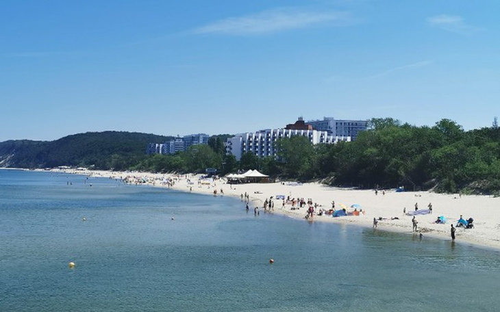 Zbiórka Testy DNA - zdjęcie główne