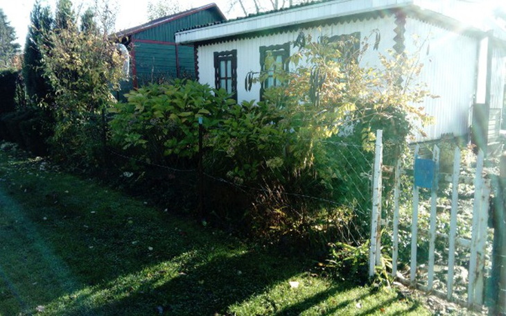 Zbiórka Renowacja ogródka działkowego - zdjęcie główne