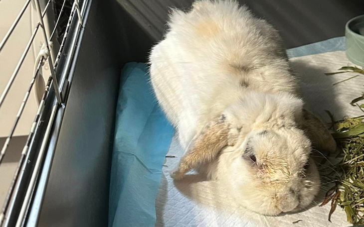 Zbiórka Na spłatę faktury - zdjęcie główne