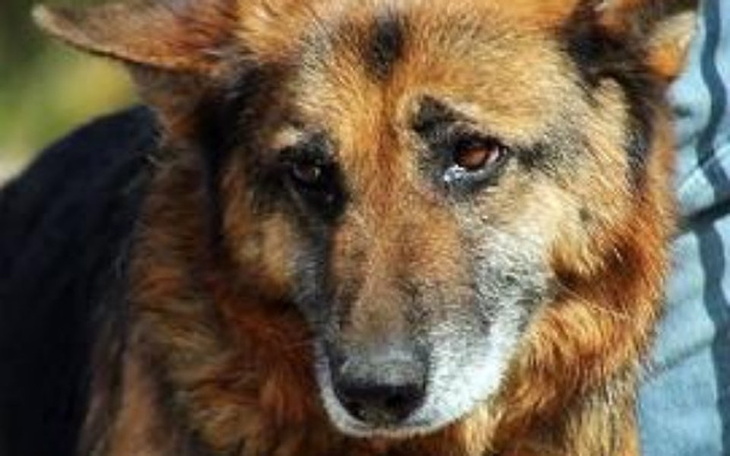 Zbiórka ARISA i LINDA - po Nowe Życie - zdjęcie główne