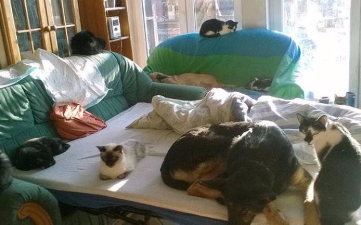 Zbiórka Hospicjum " Chata Zwierzaka" - zdjęcie główne