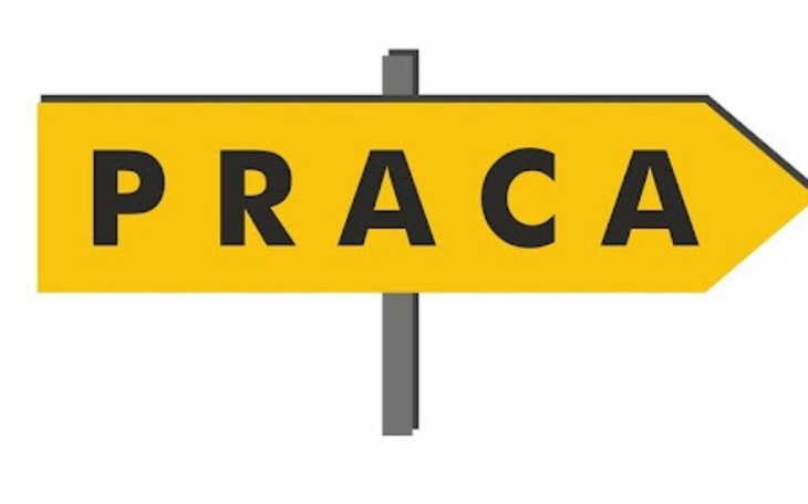 Zbiórka Proszę pomóż zacząć nowe życie - zdjęcie główne