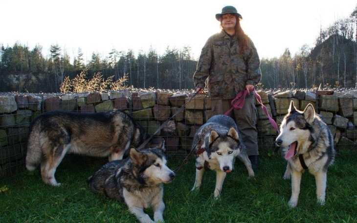 Zbiórka Wilkowa Urodzinowa dla psów ssw - zdjęcie główne