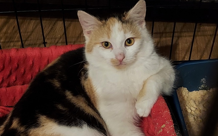 Zbiórka Do higieny i na stres - zdjęcie główne