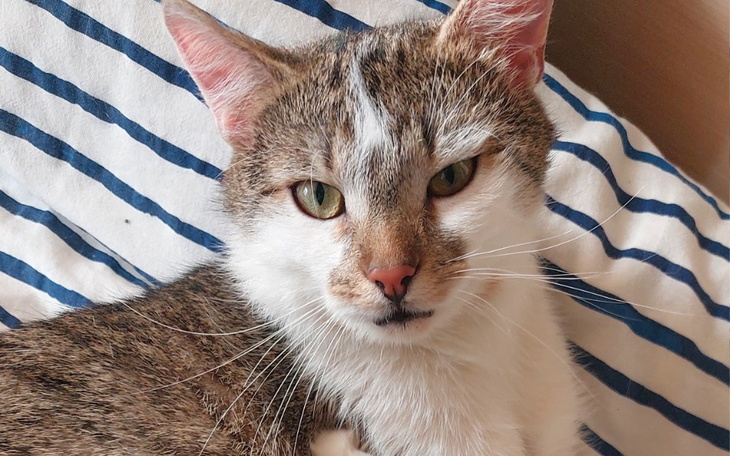 Zbiórka Jedyna szansa na życie dla Kazia - zdjęcie główne