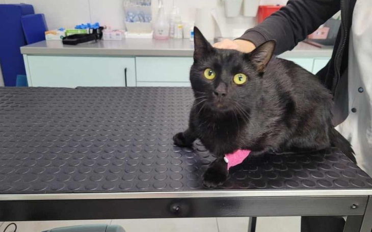 Zbiórka Pielgrzymki do weta - zdjęcie główne