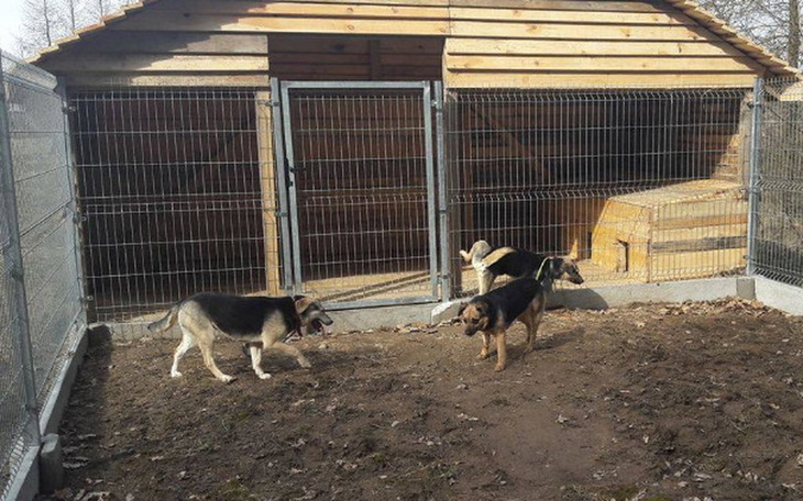 Zbiórka Kleszcze atakują w Azylu! - zdjęcie główne