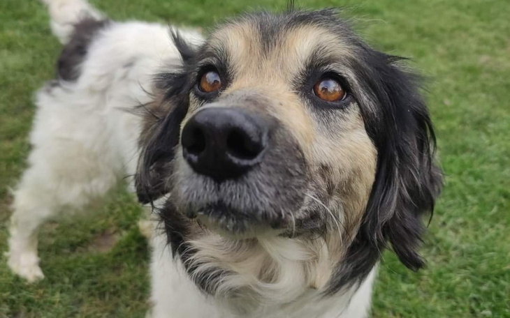 Zbiórka Umiera na nowotwór - zdjęcie główne