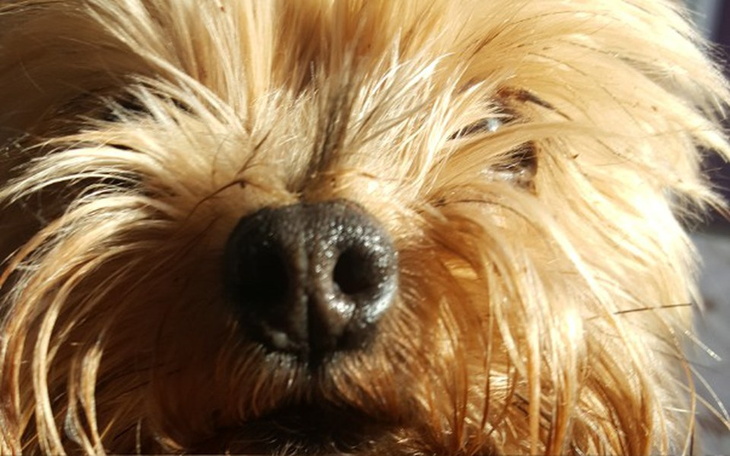 Zbiórka Na spełnianie MARZEŃ-muzyka! - zdjęcie główne