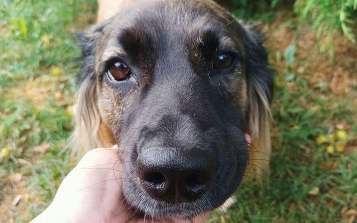 Zbiórka Bazarek Fundacji Azyl - zdjęcie główne