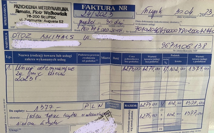 Zbiórka Ratujemy bezdomność codziennie - zdjęcie główne