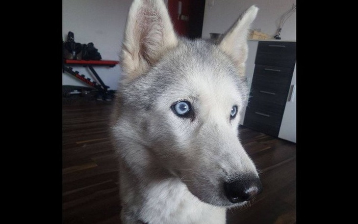 Zbiórka By Luna nigdy nie była głodna - zdjęcie główne