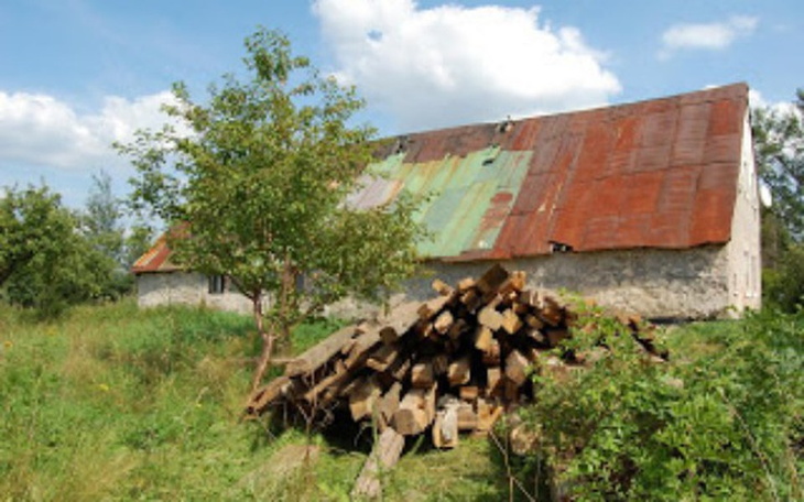 Zbiórka na nowy piec i leki - zdjęcie główne