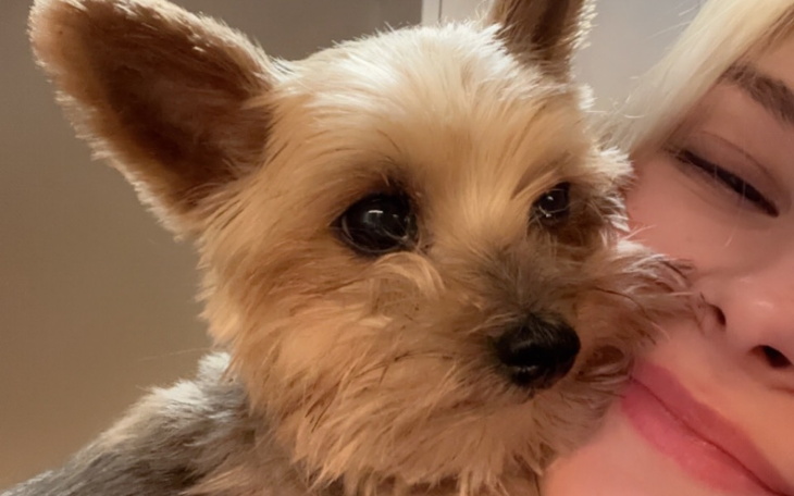 Młoda dziewczyna przytula małego psa, oboje się uśmiechają.