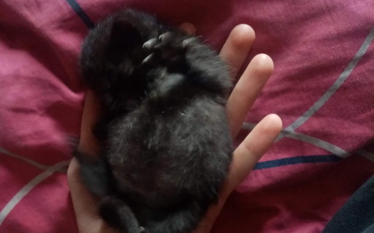 Zbiórka Wakacje z narzeczoną - zdjęcie główne