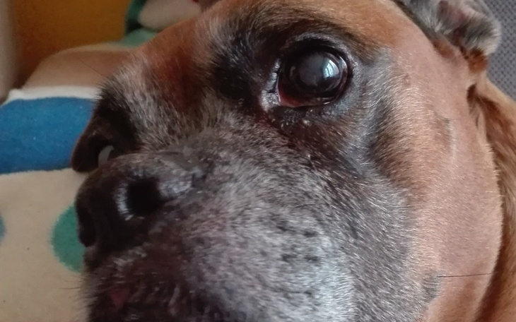 Zbiórka Nowy start po życiu w przemocy - zdjęcie główne